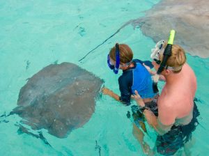 Swimming with stingrays in Moorea