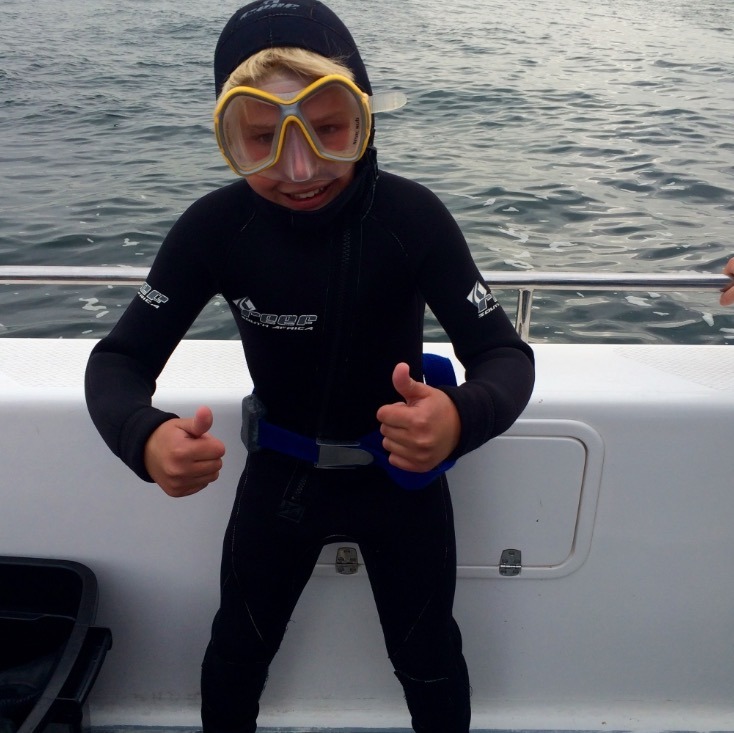 shark cage diving with kids
