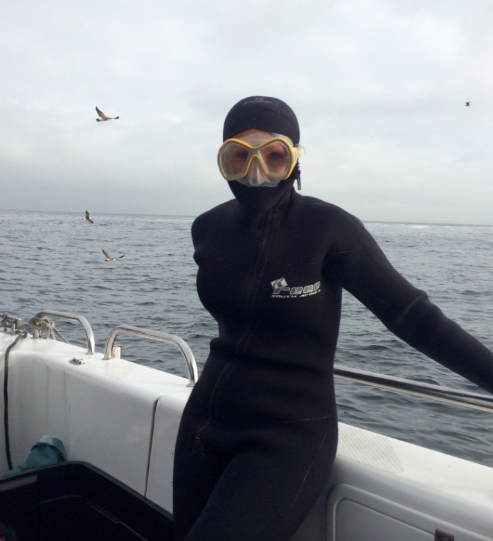shark cage diving south africa