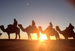 10 Best Places to Visit with Kids in 2024