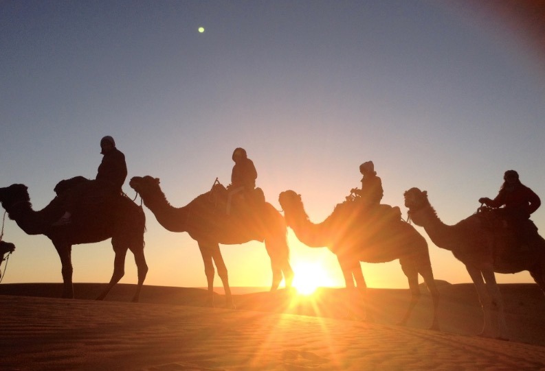 10 Best Places to Visit with Kids in 2024