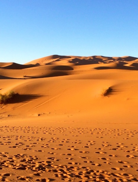 sahara desert, Morocco
