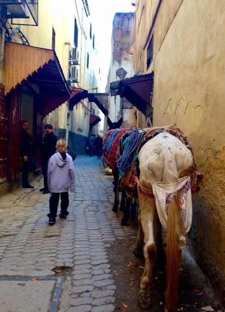 Fez Morocco