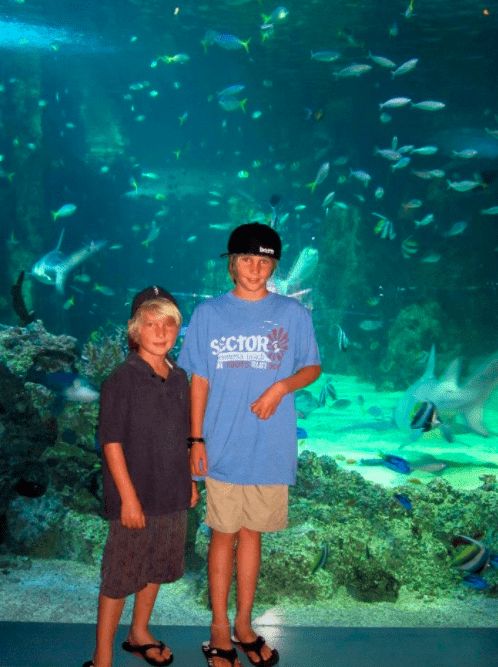 take your kids to Sydney, Australia aquarium