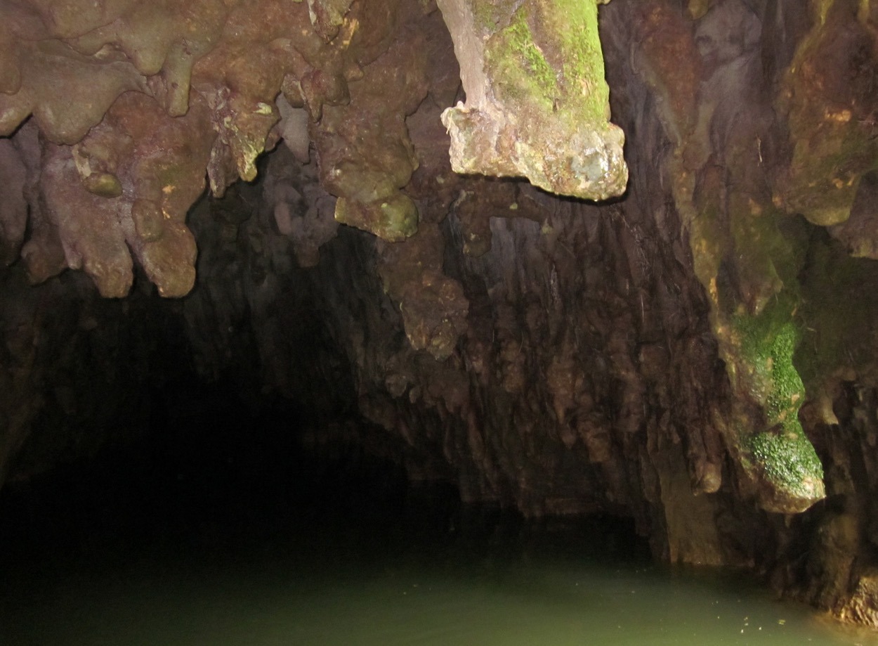 Waitomo Glowworm Caves new zealand river tour