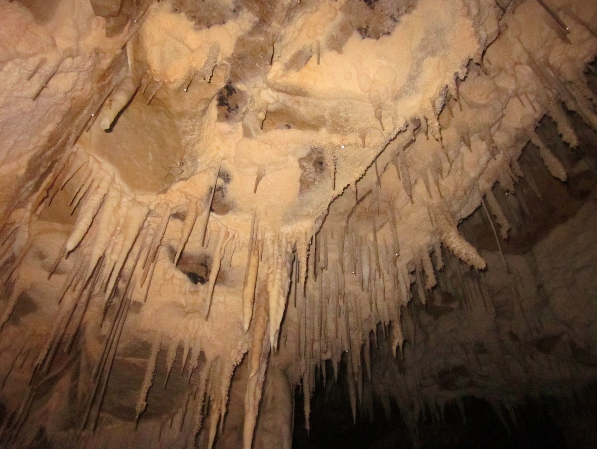 Waitomo Glowworm Caves new zealand explore