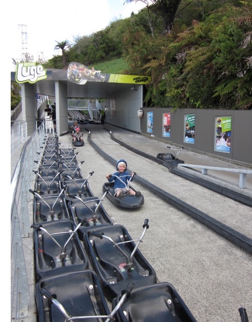 Rotarua new zealand luge rides