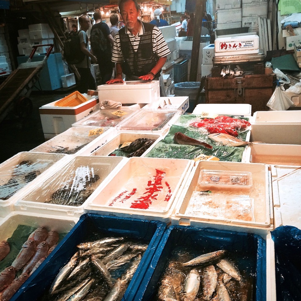 tokyo fish market tuna auction
