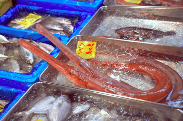 fish at tokyo fish market