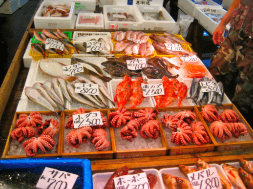 fish in tokyo