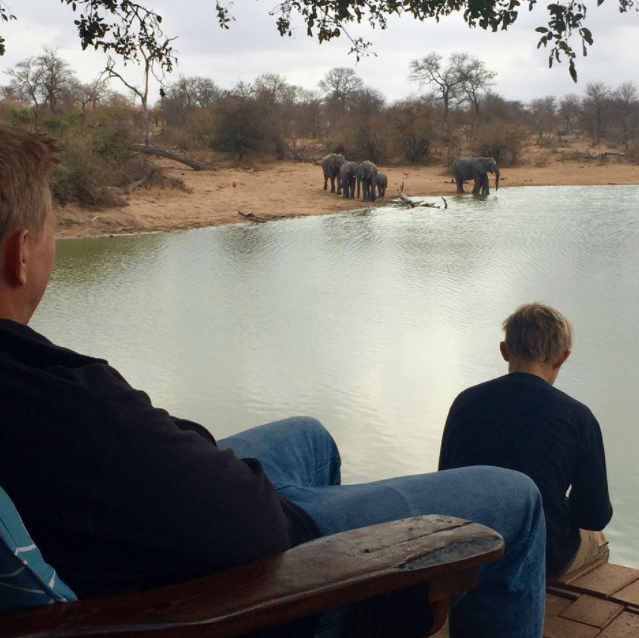 africa safari southafrica watering hole