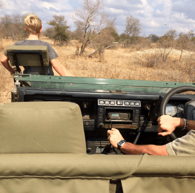 africa safari southafrica big5 tracker