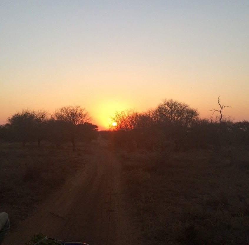 sunset africa safari southafrica big5
