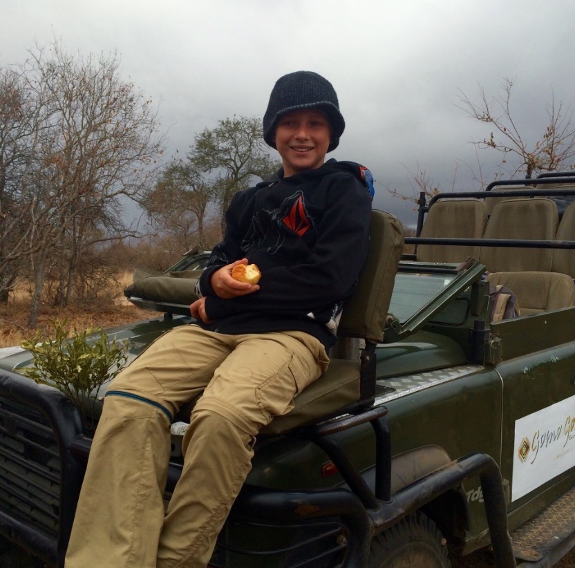 africa safari southafrica big5 jeep