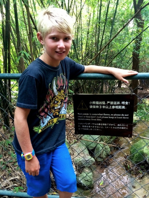 Kids love exploring the Chengdu Panda bear breeding center