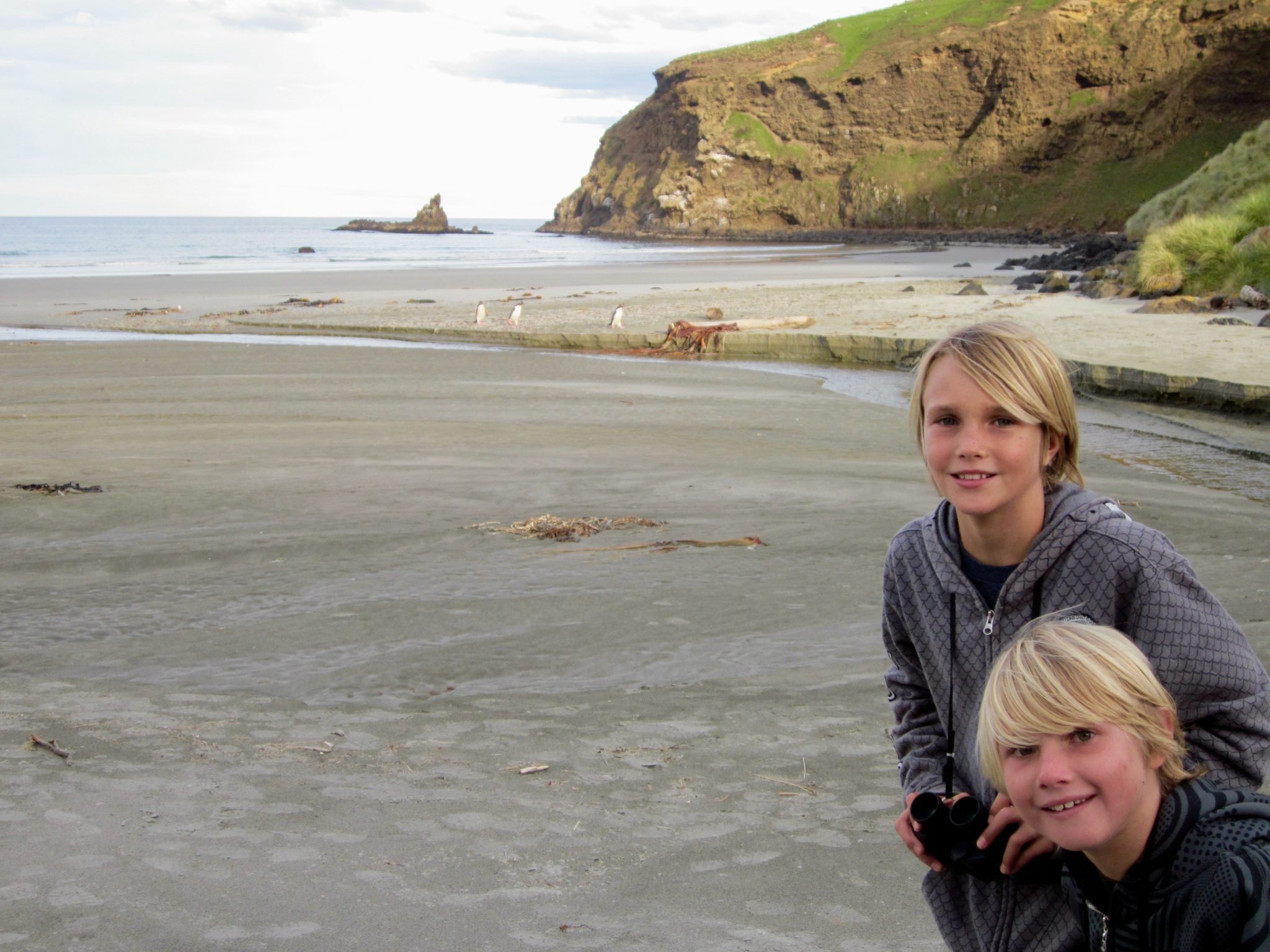 family visit to penguins at penguin place otago peninsula