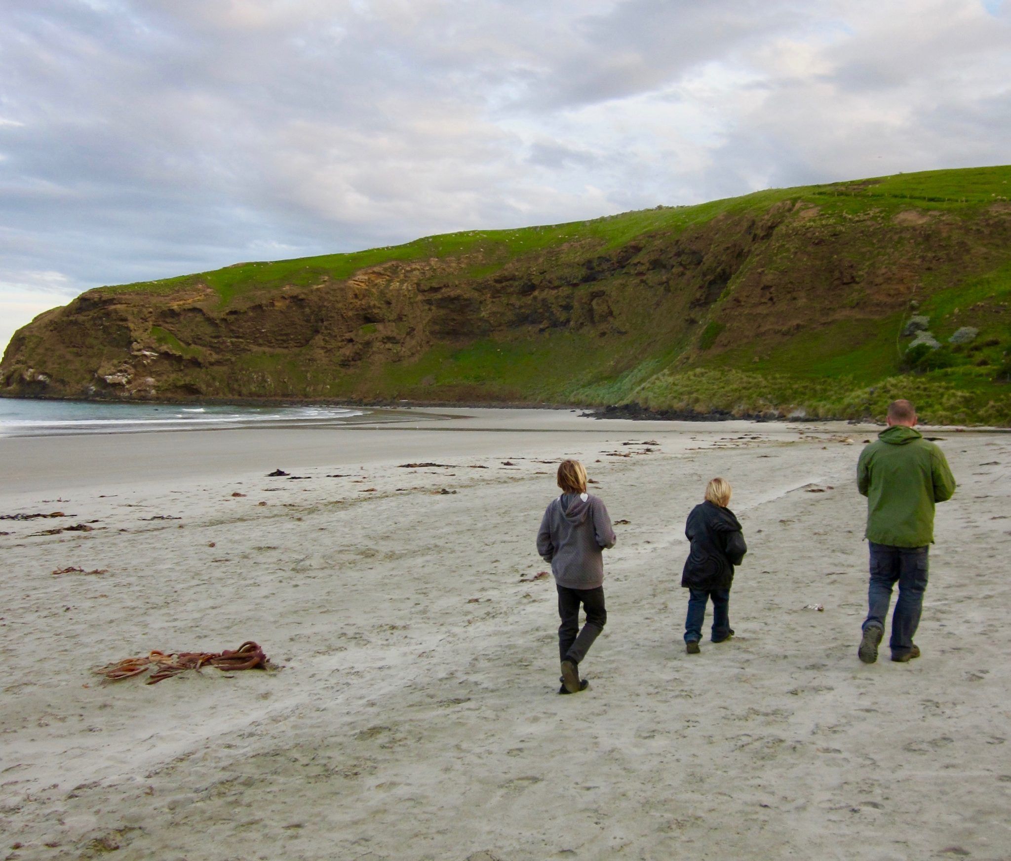 walking on the beach on the otago peninsula
