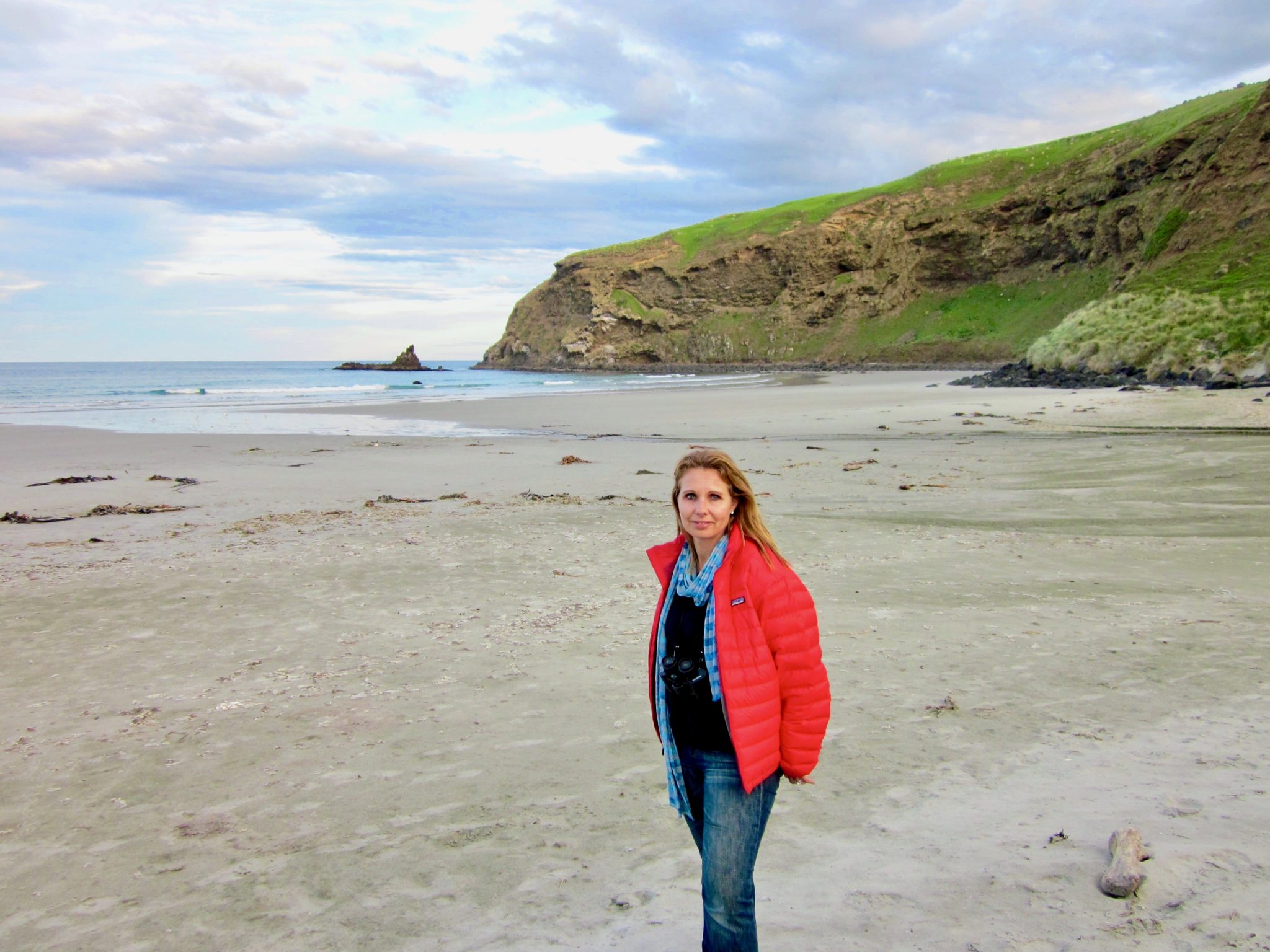 on the beach in dunedin