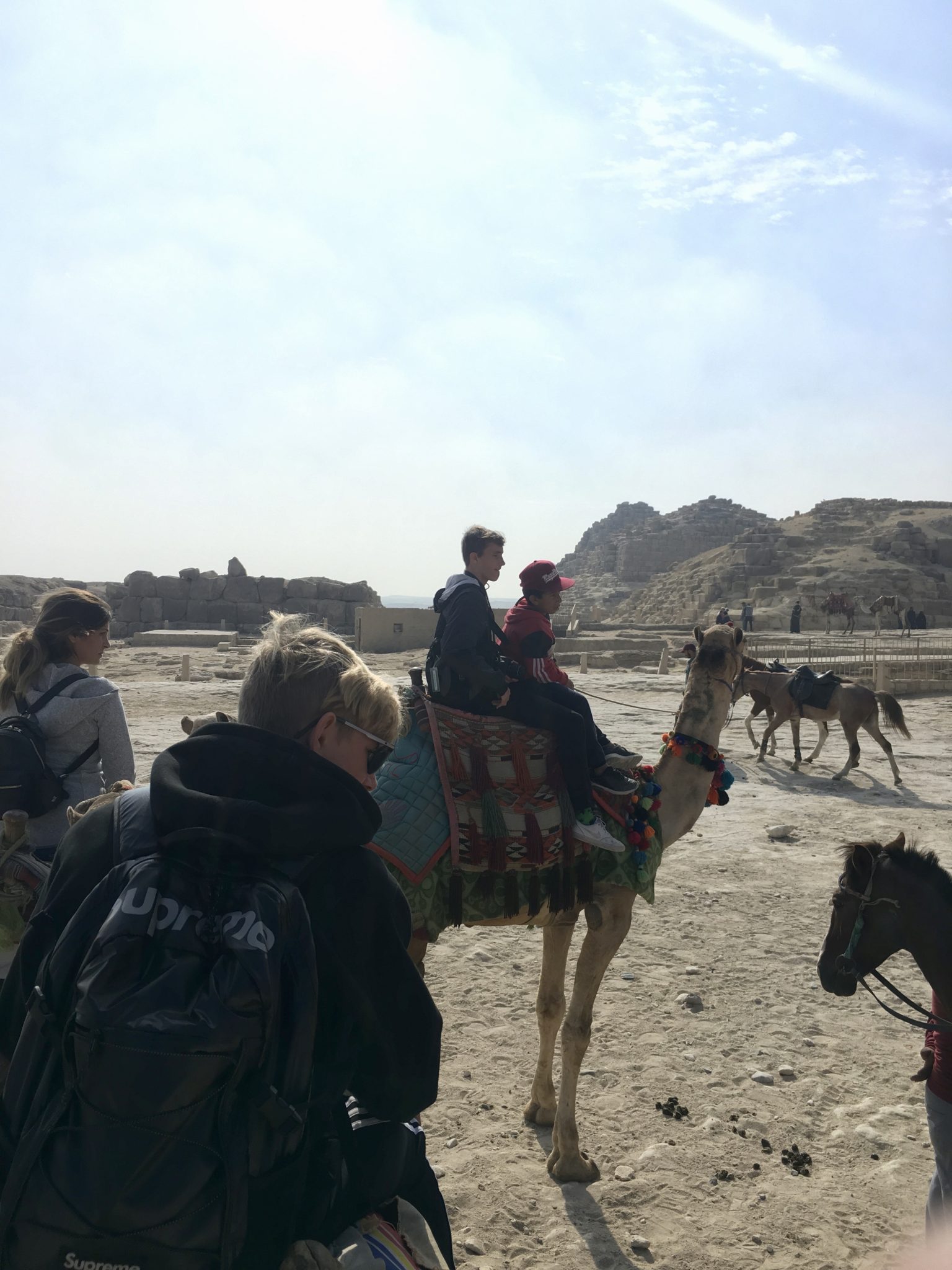 pyramids of giza on camels in cairo