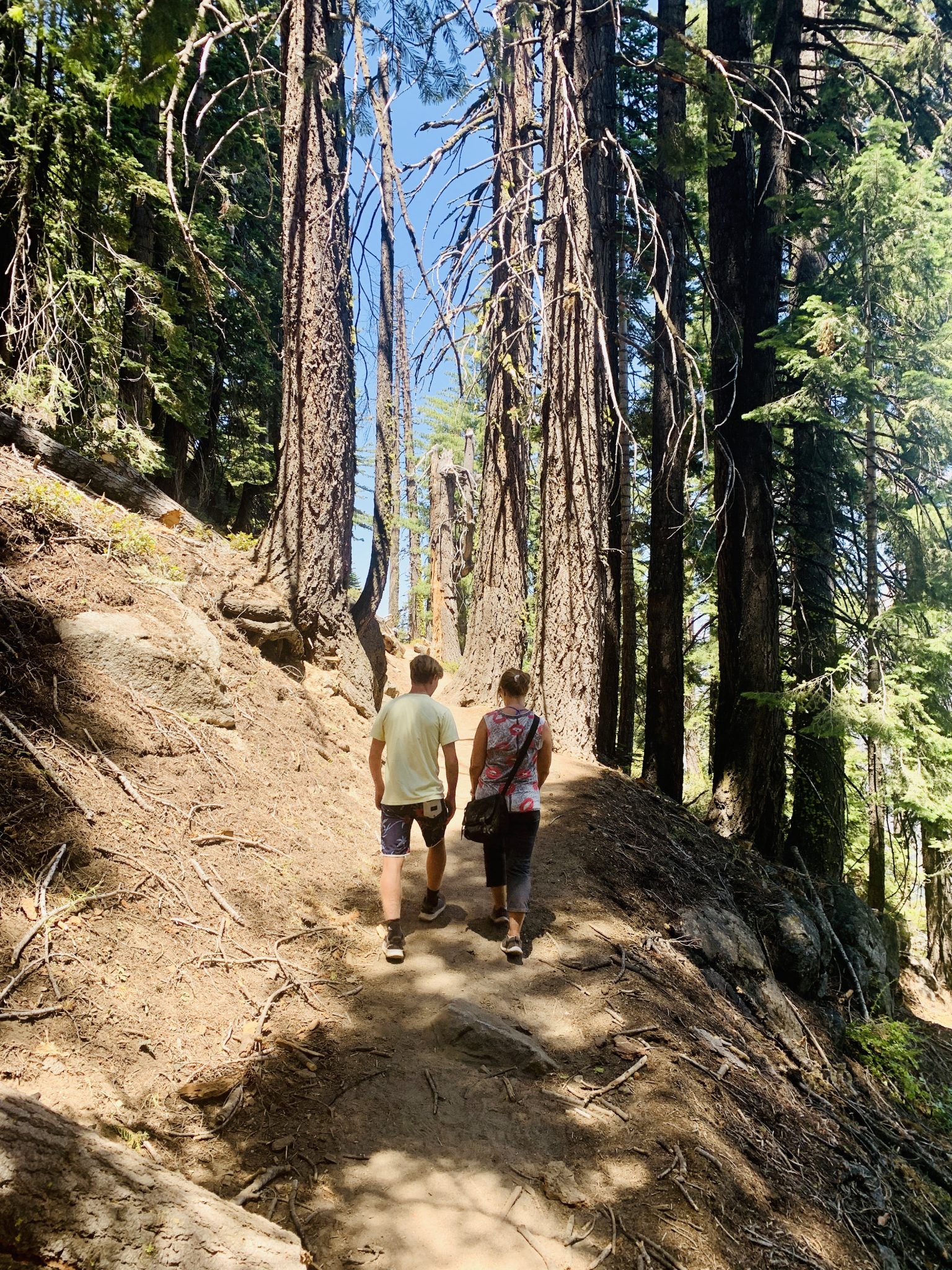 hiking in yosemite national park