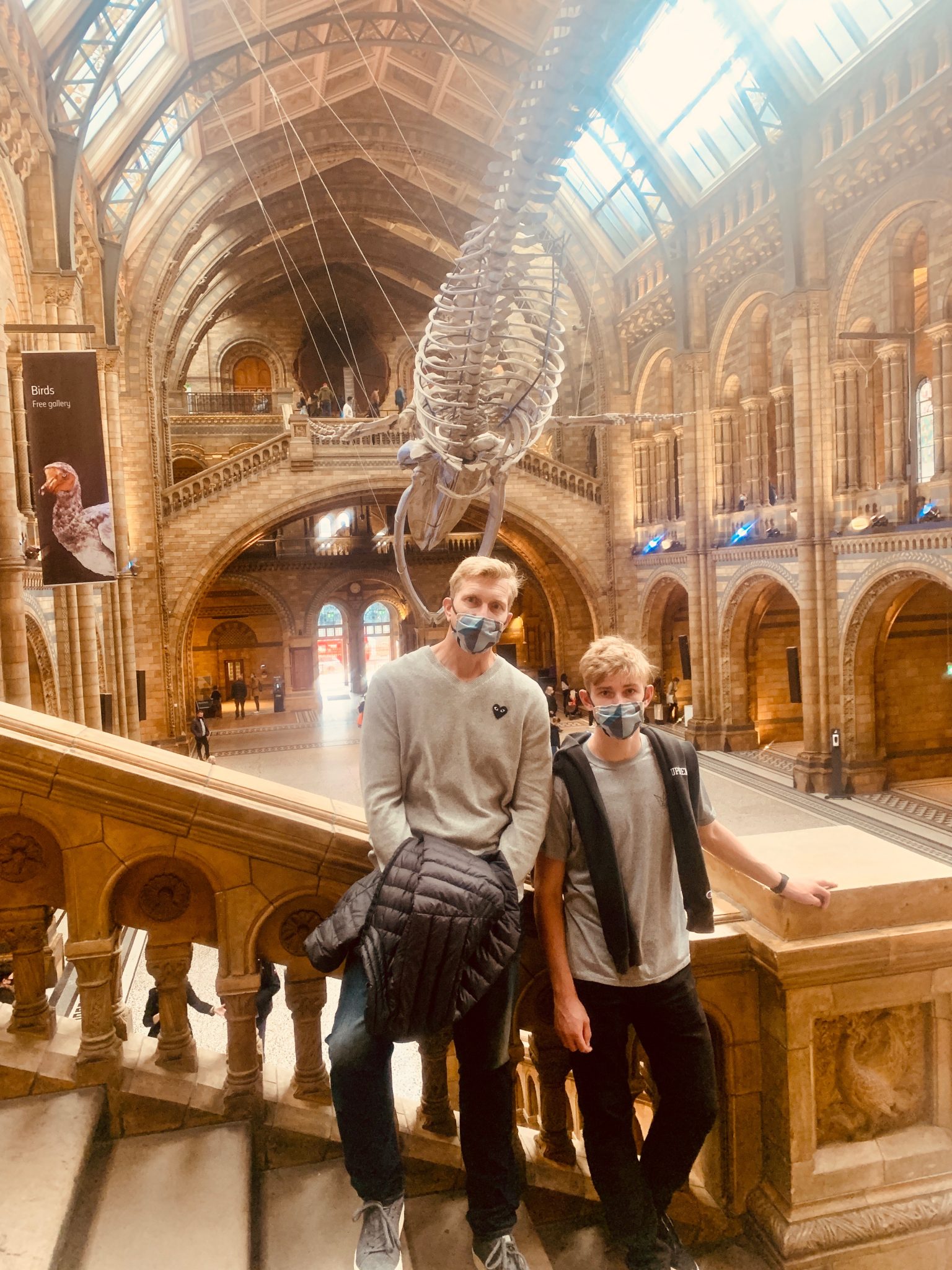 natural history museum in london
