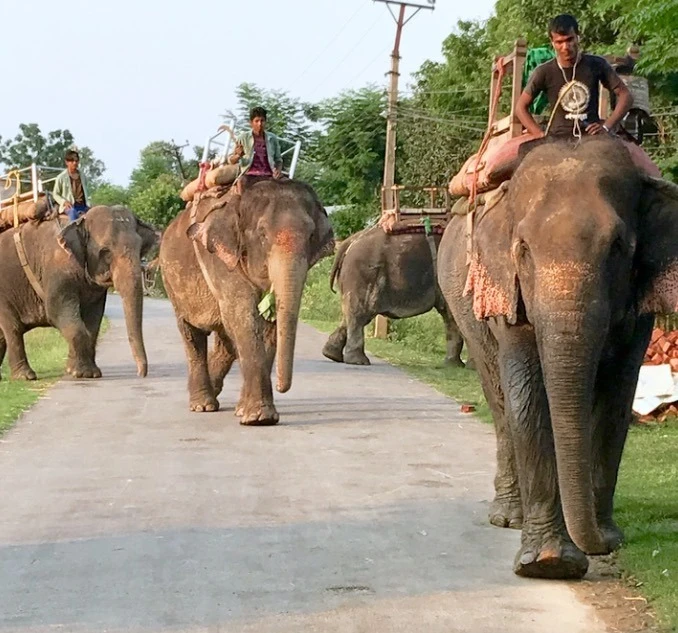 how to drive from Kathmandu to Chitwan national park