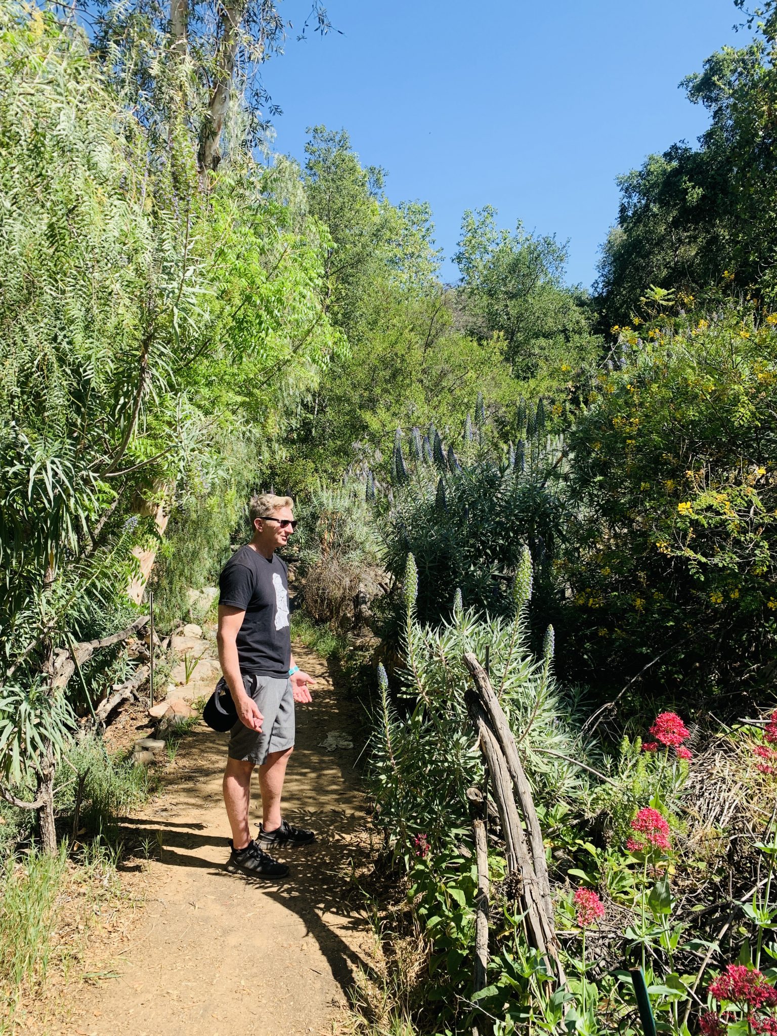 hiking in the Ojai valley