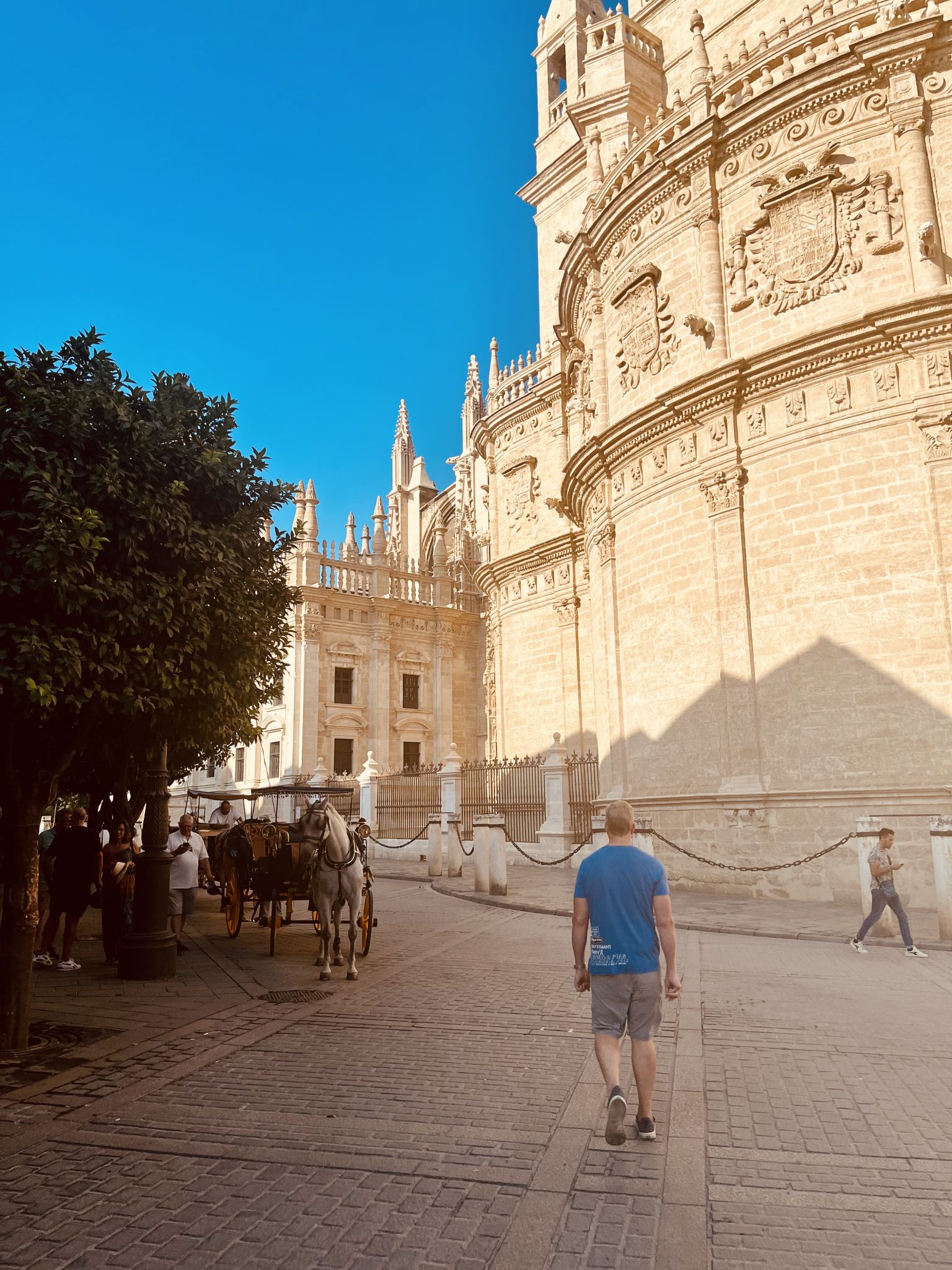 cathedral in Seville