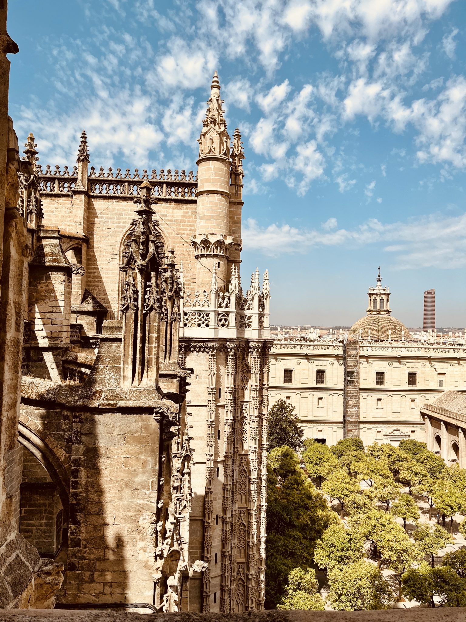 views from the top of the Seville Cathedral - visit seville