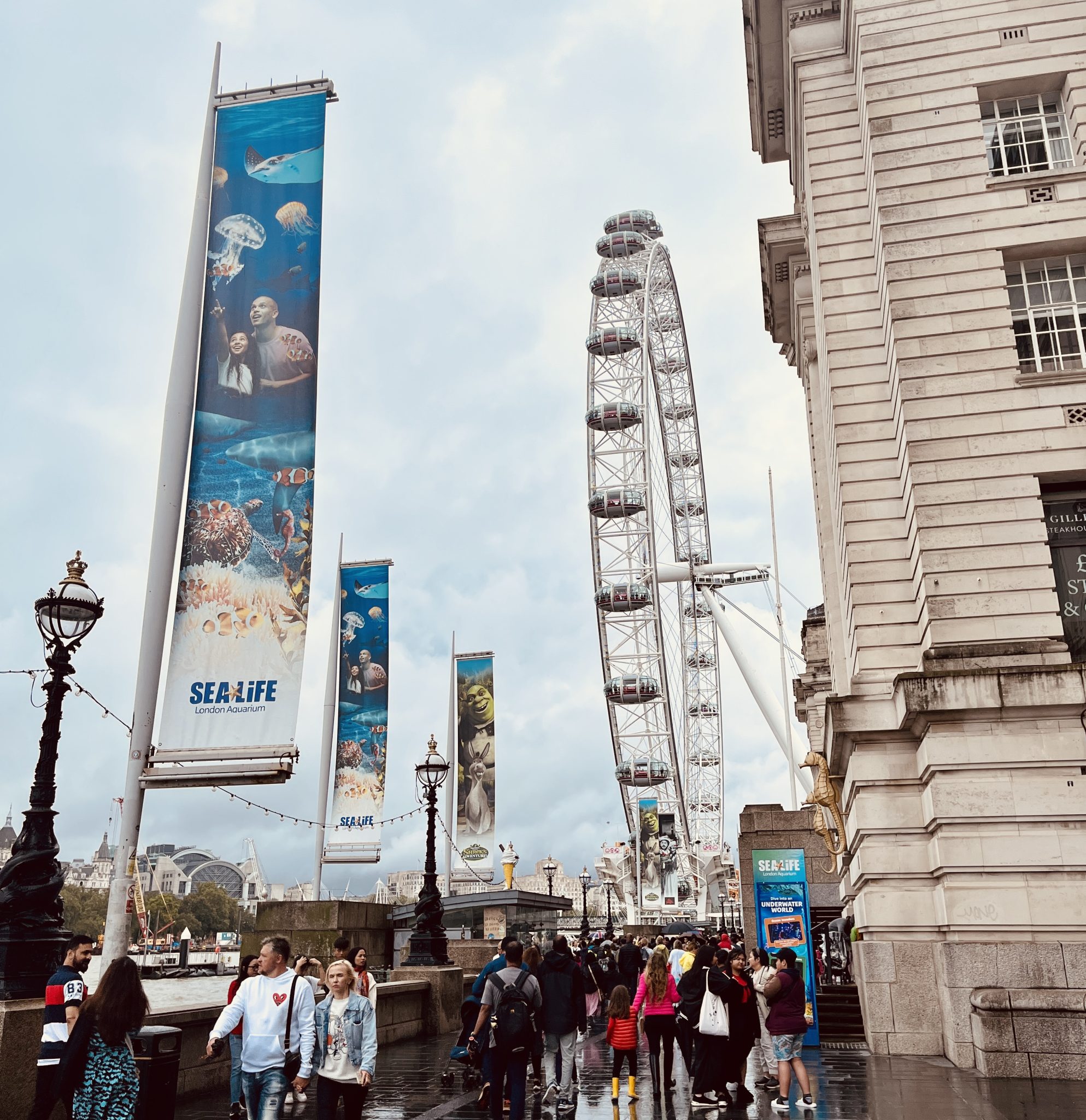 Visit the London Eye and SeaLife Aquarium