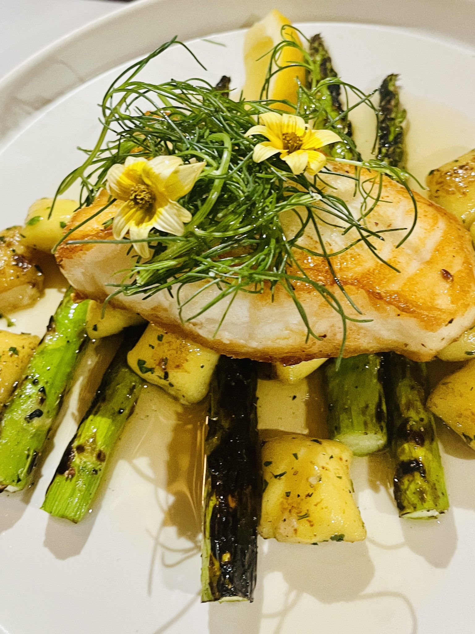 The seabass with asparagus was absolutely delicious at JW Marriott Anaheim tocca Ferro