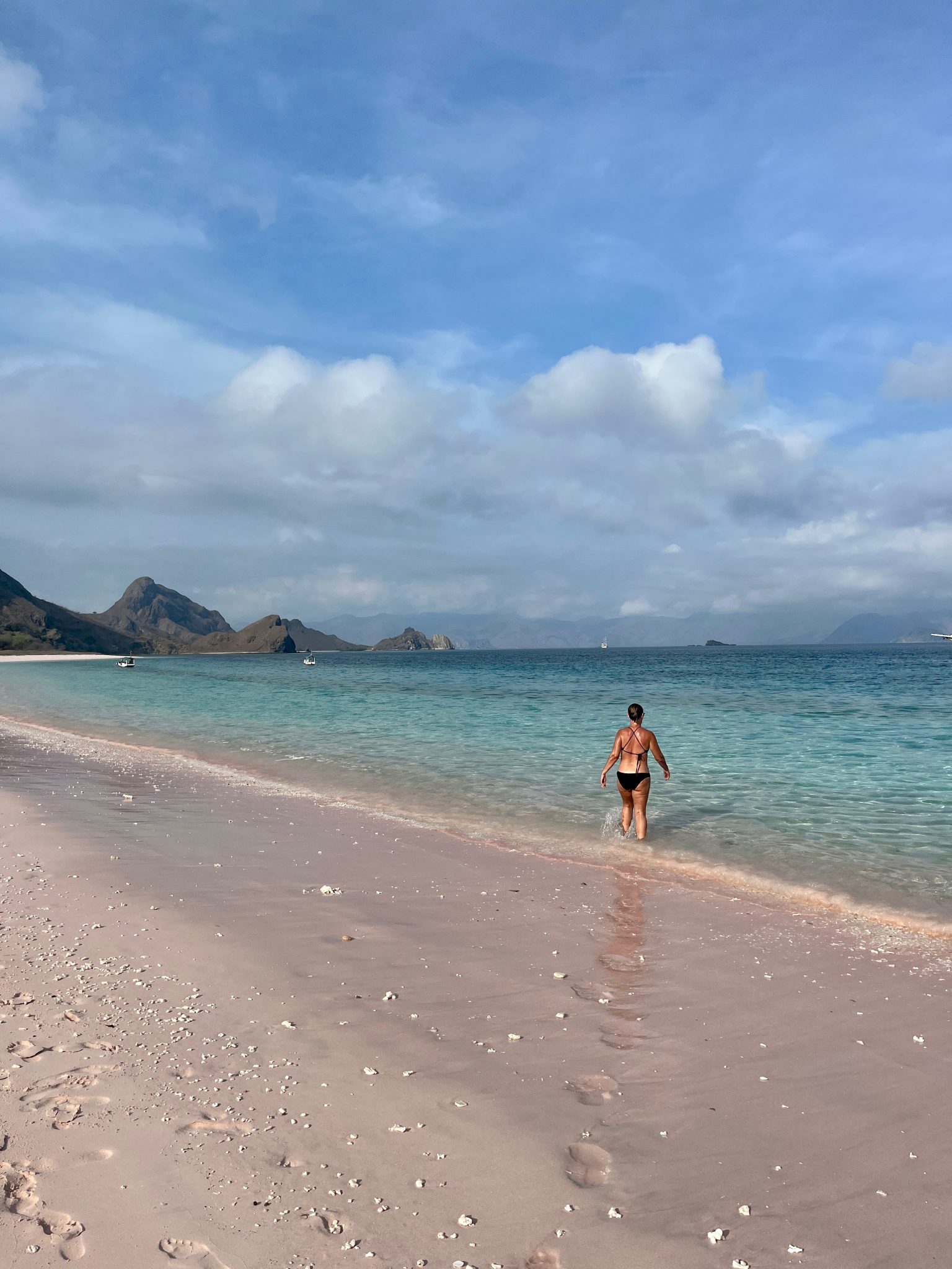 Viisit the pink beach in the komodo national park