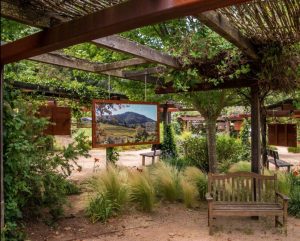 Benziger Family Winery in sonoma is beautiful