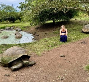 How to Visit the Galapagos Islands on Your Own