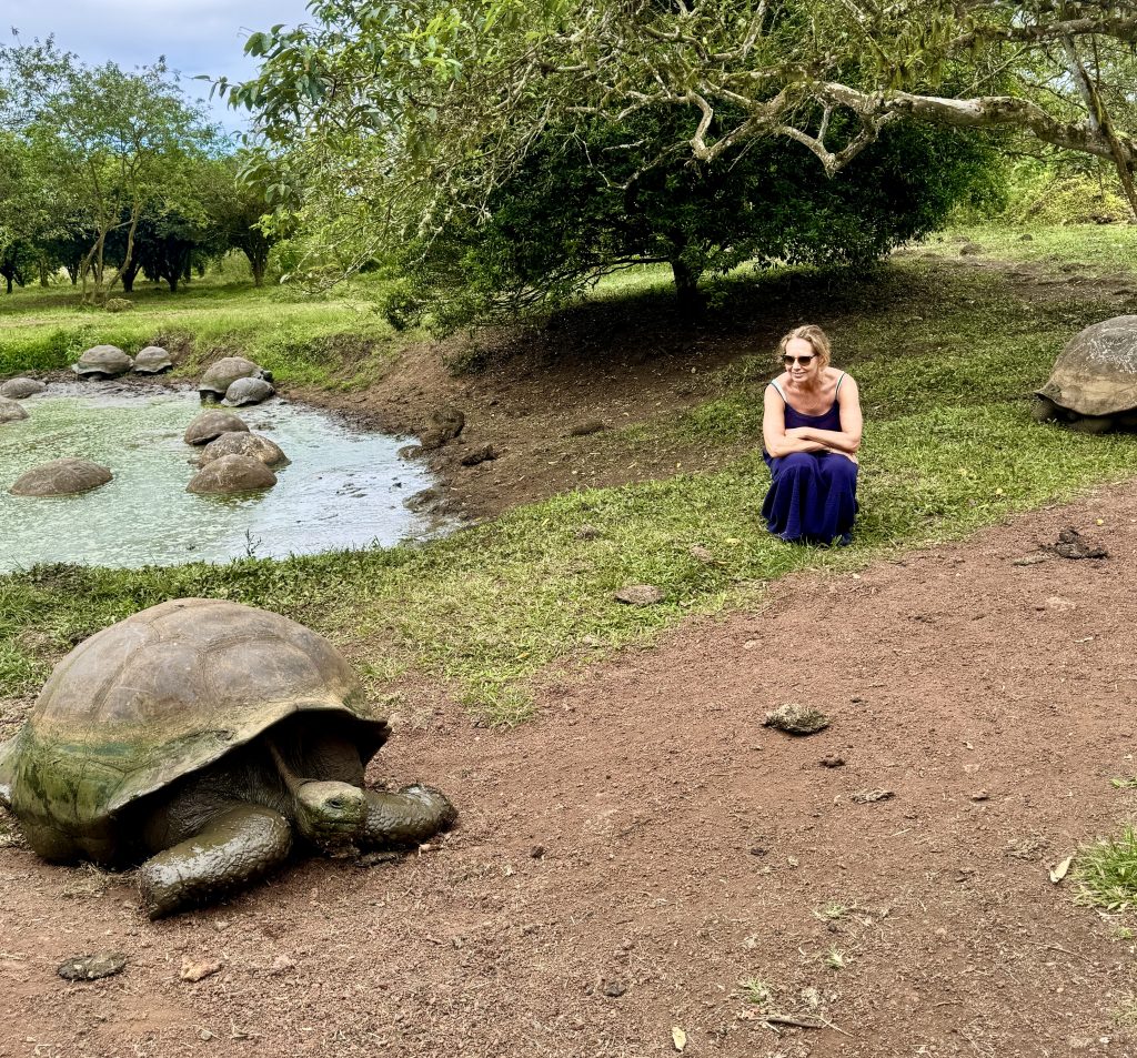 How to Visit the Galapagos Islands on Your Own