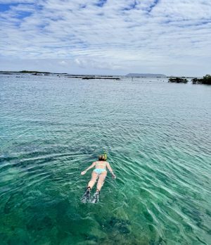 How to visit the Isabela, the biggest Galapagos island, on your own